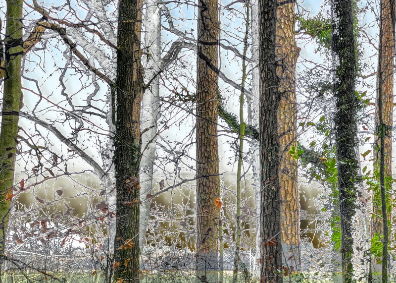 wald1a